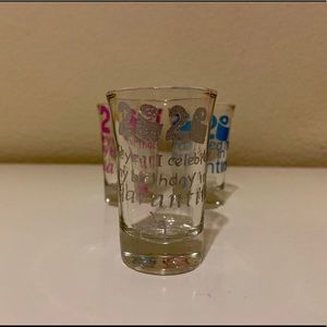 Silver quarantine birthday shot glass